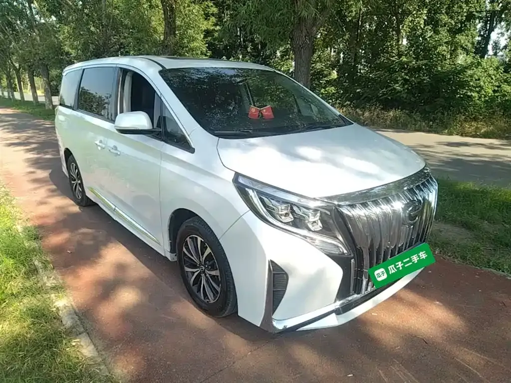 GAC Motor Trumpchi M8 2023 из CN, фото 8