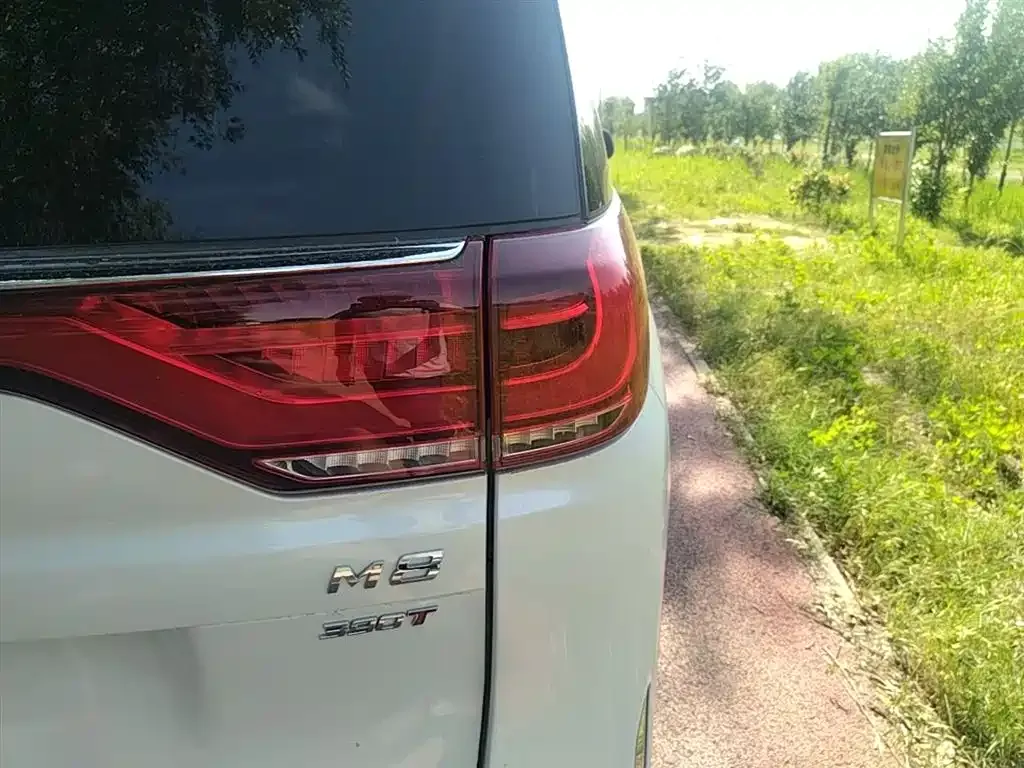 GAC Motor Trumpchi M8 2023 из CN, фото 6