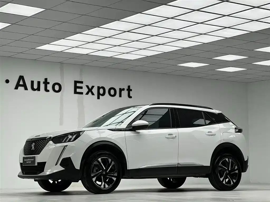 Peugeot 2008 — фото 10