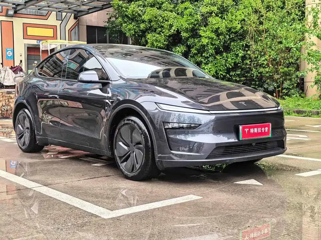 Tesla Model Y — фото 8