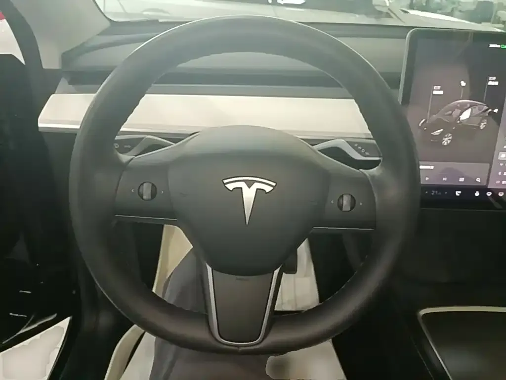 Tesla Model Y — фото 9
