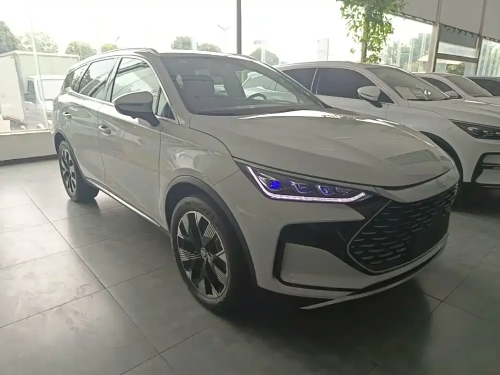 BYD Tang New Energy — фото 10