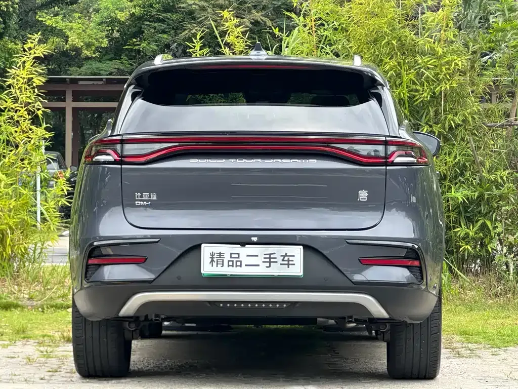 BYD Tang New Energy — фото 5