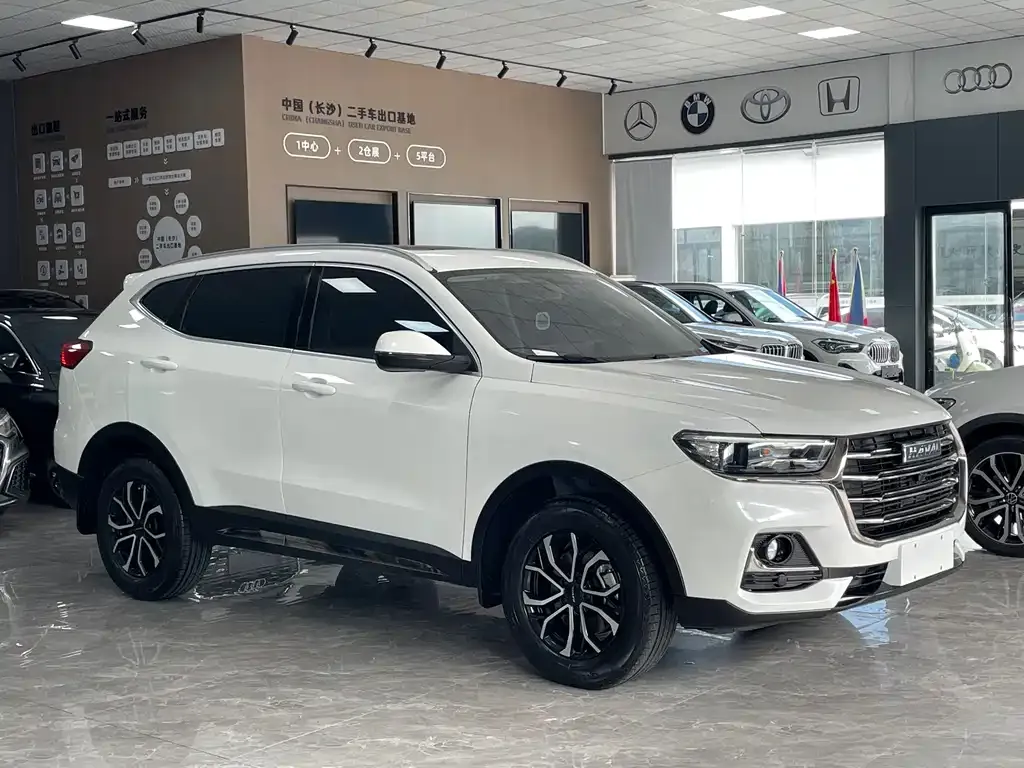 Haval H6 — фото 4