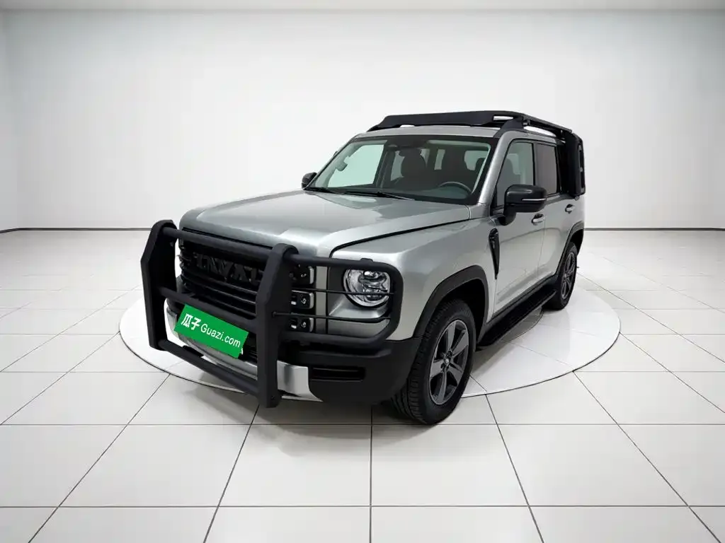 Haval Menglong New Energy 2024 из CN, фото 9