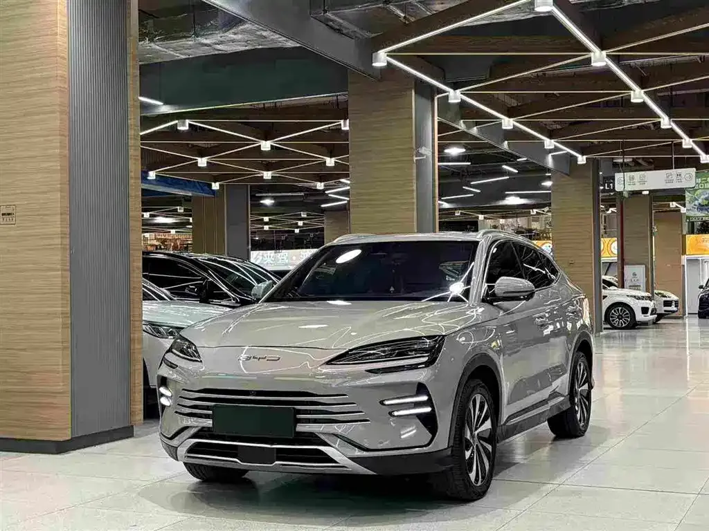 BYD PLUS New Energy