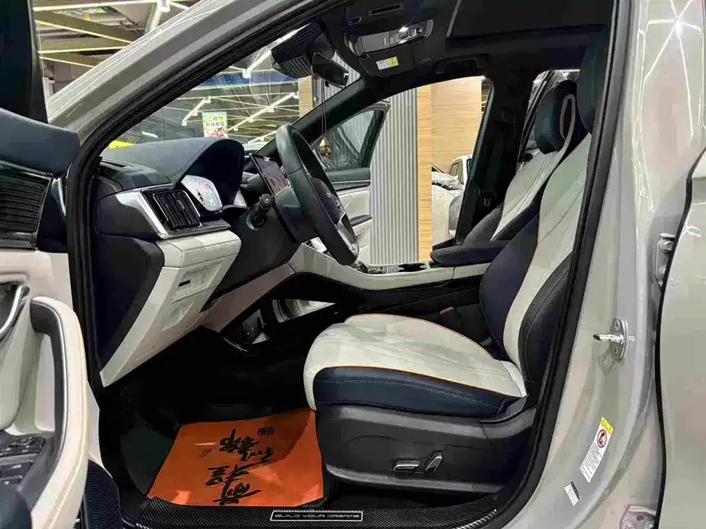 BYD PLUS New Energy 2024 из CN, фото 4