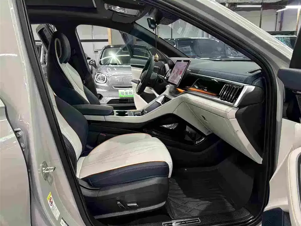 BYD PLUS New Energy 2024 из CN, фото 10