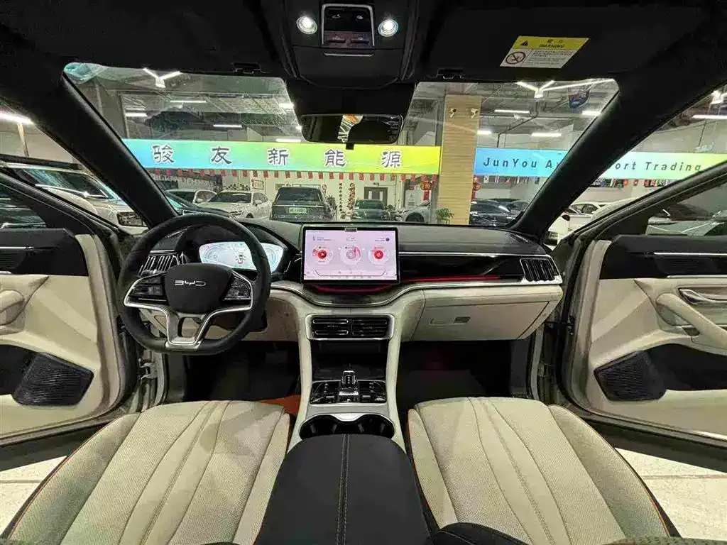 BYD PLUS New Energy 2024 из CN, фото 8