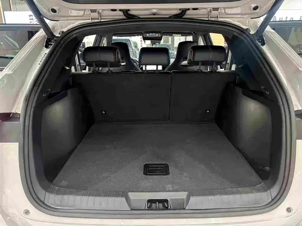 BYD PLUS New Energy 2024 из CN, фото 6