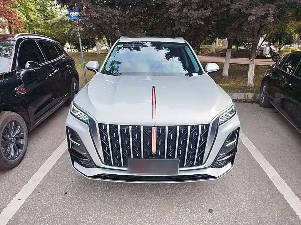Hongqi HS5 2024 из CN, фото 9