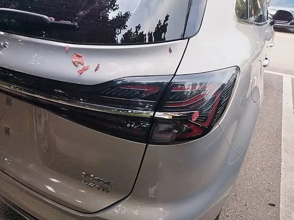 Hongqi HS5 2024 из CN, фото 5