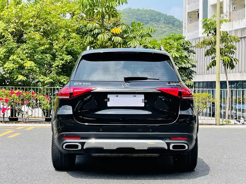 Mercedes-Benz 奔驰GLE(进口) — фото 6