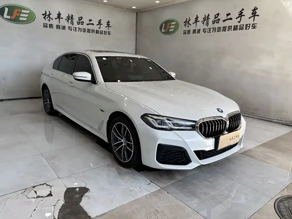 BMW 5 Series New Energy — фото 4