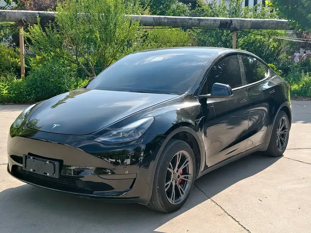 Tesla Model Y — фото 1