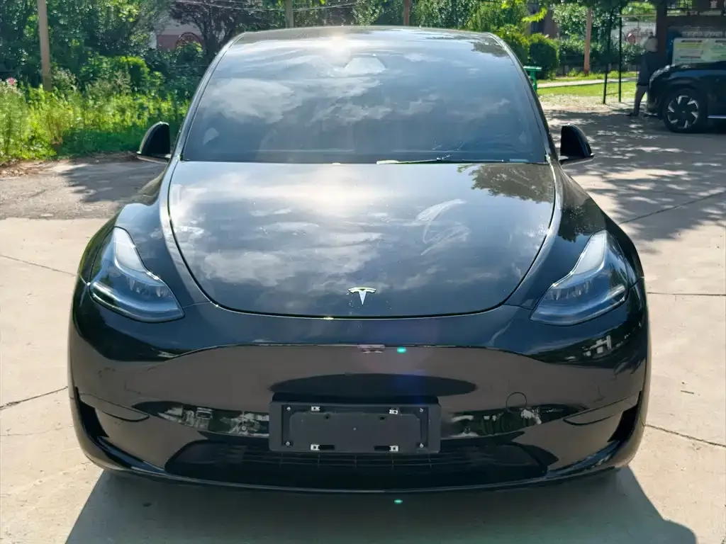 Tesla Model Y — фото 5