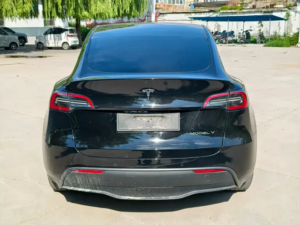 Tesla Model Y — фото 10
