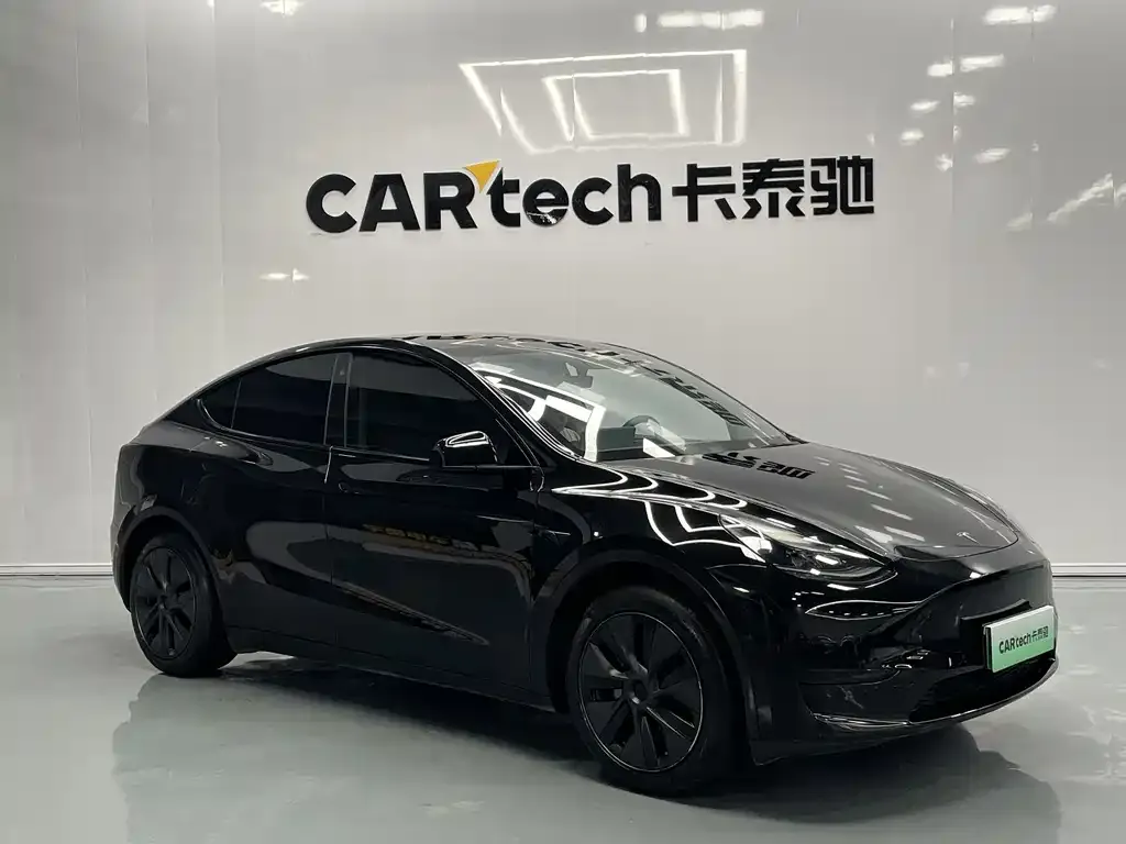 Tesla Model Y — фото 10