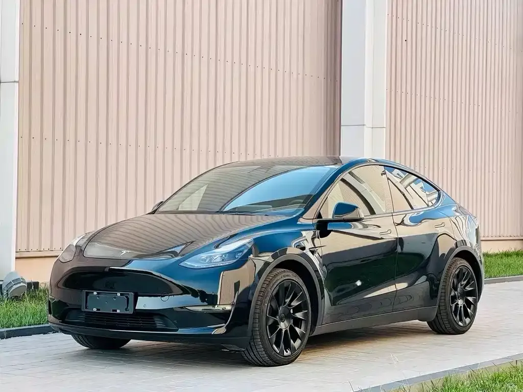 Tesla Model Y — фото 1