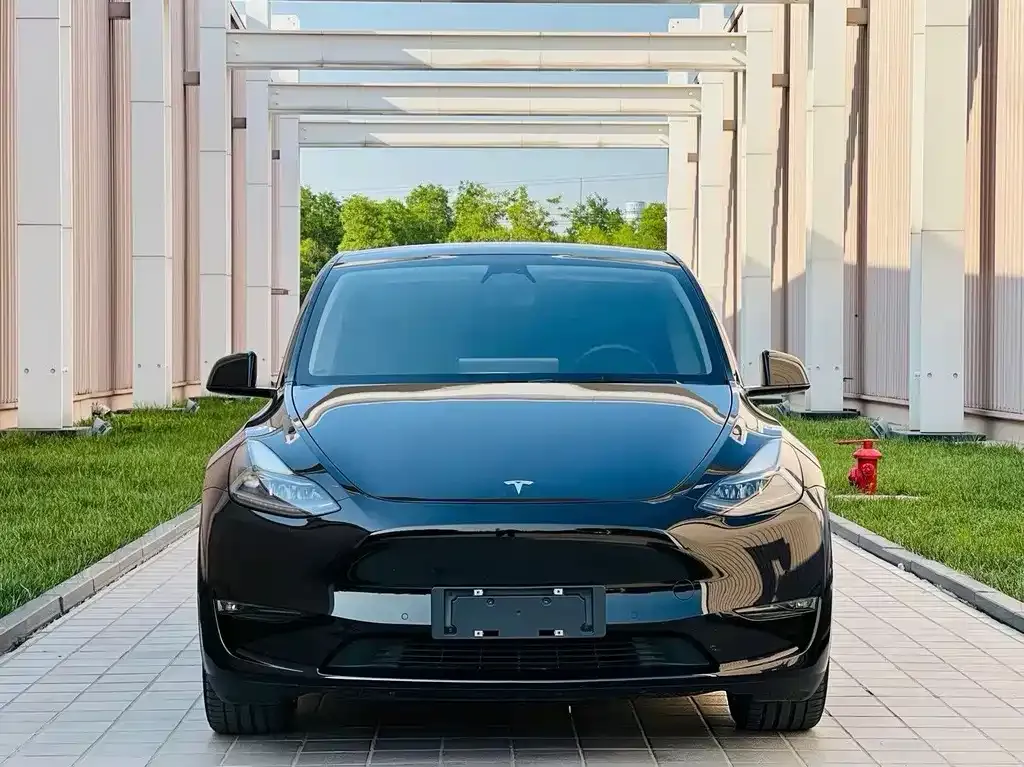 Tesla Model Y — фото 7