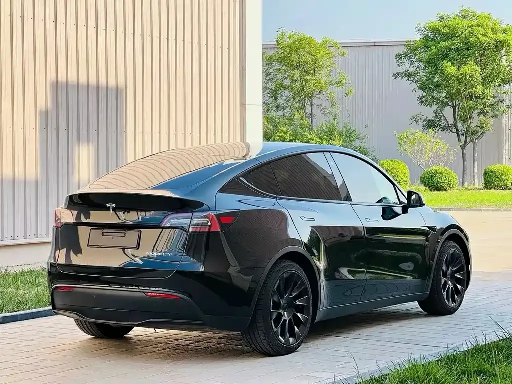 Tesla Model Y — фото 5