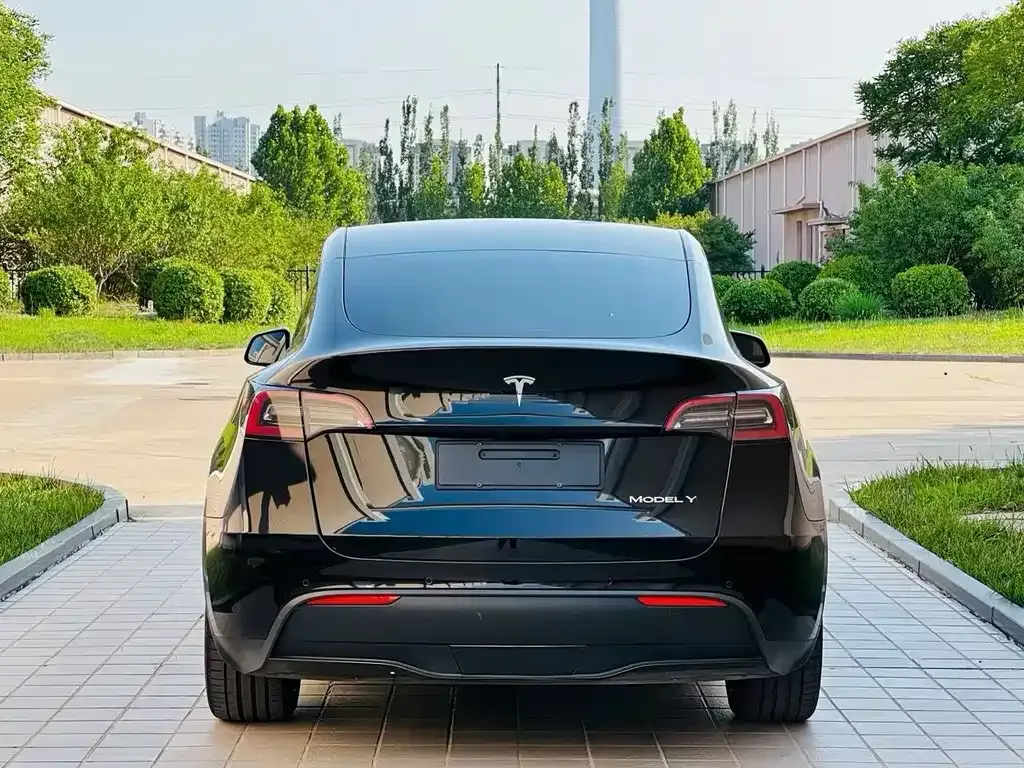 Tesla Model Y — фото 9