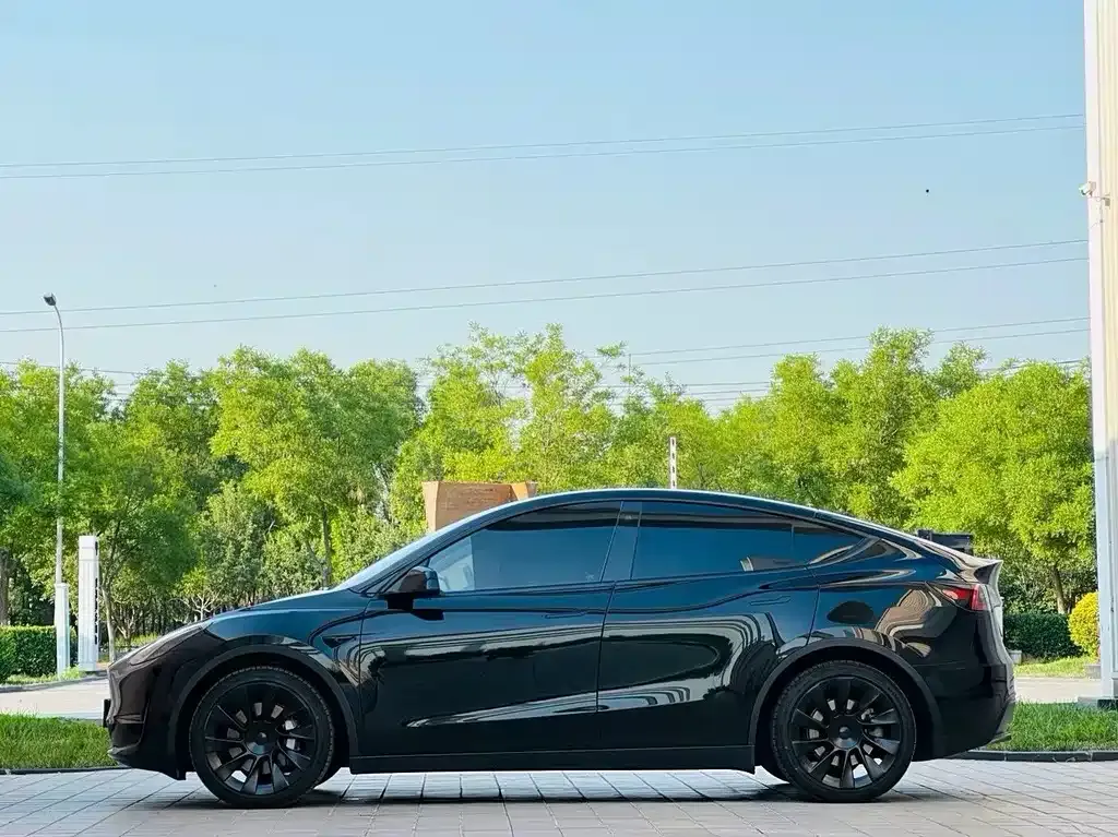 Tesla Model Y — фото 6