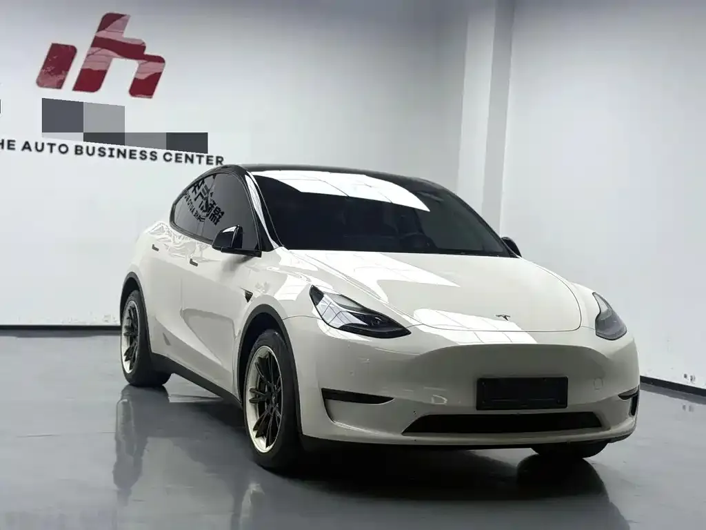 Tesla Model Y — фото 2