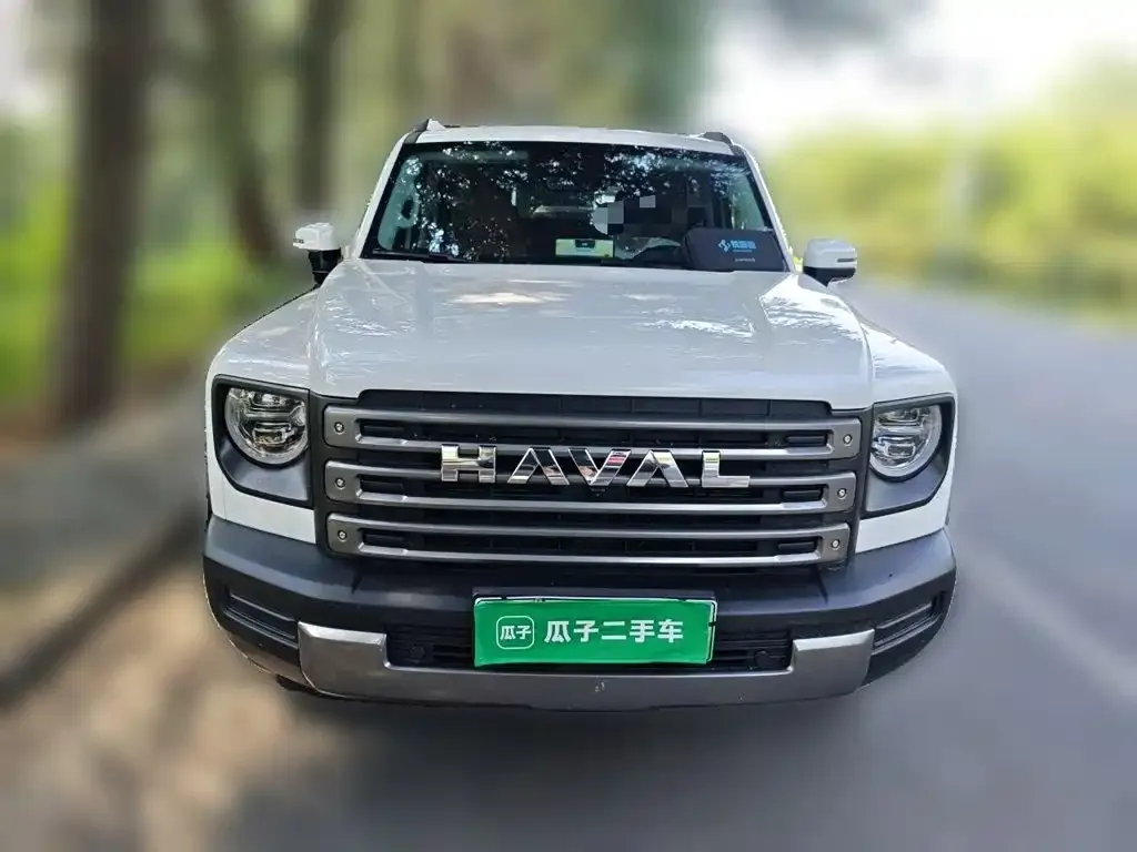 Haval Menglong New Energy — фото 1