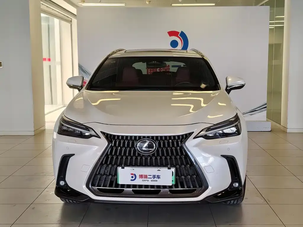 Lexus NX New Energy 2022 из CN, фото 9
