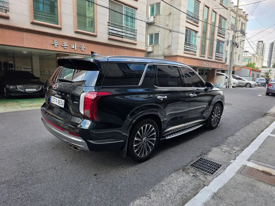 Hyundai Palisade — фото 8