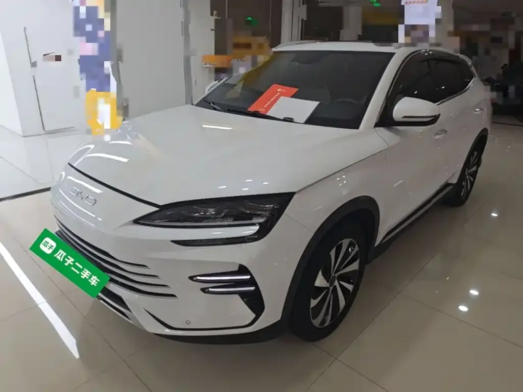 BYD PLUS New Energy 2024 из CN, фото 9