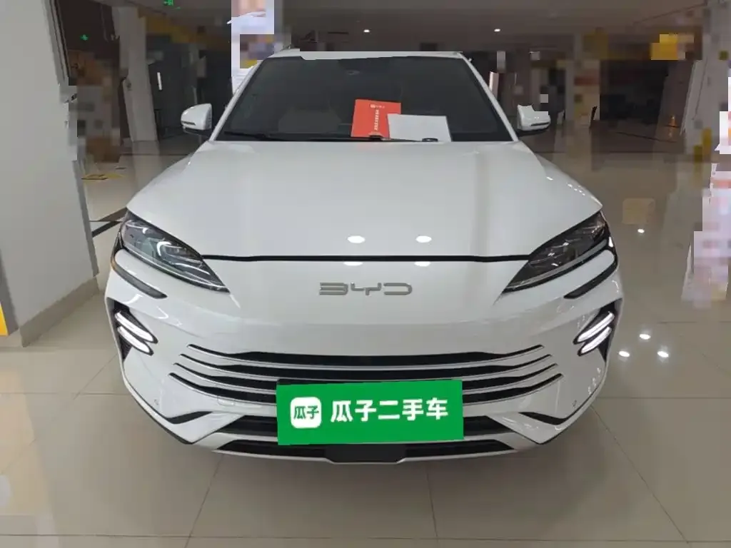 BYD PLUS New Energy 2024 из CN, фото 4