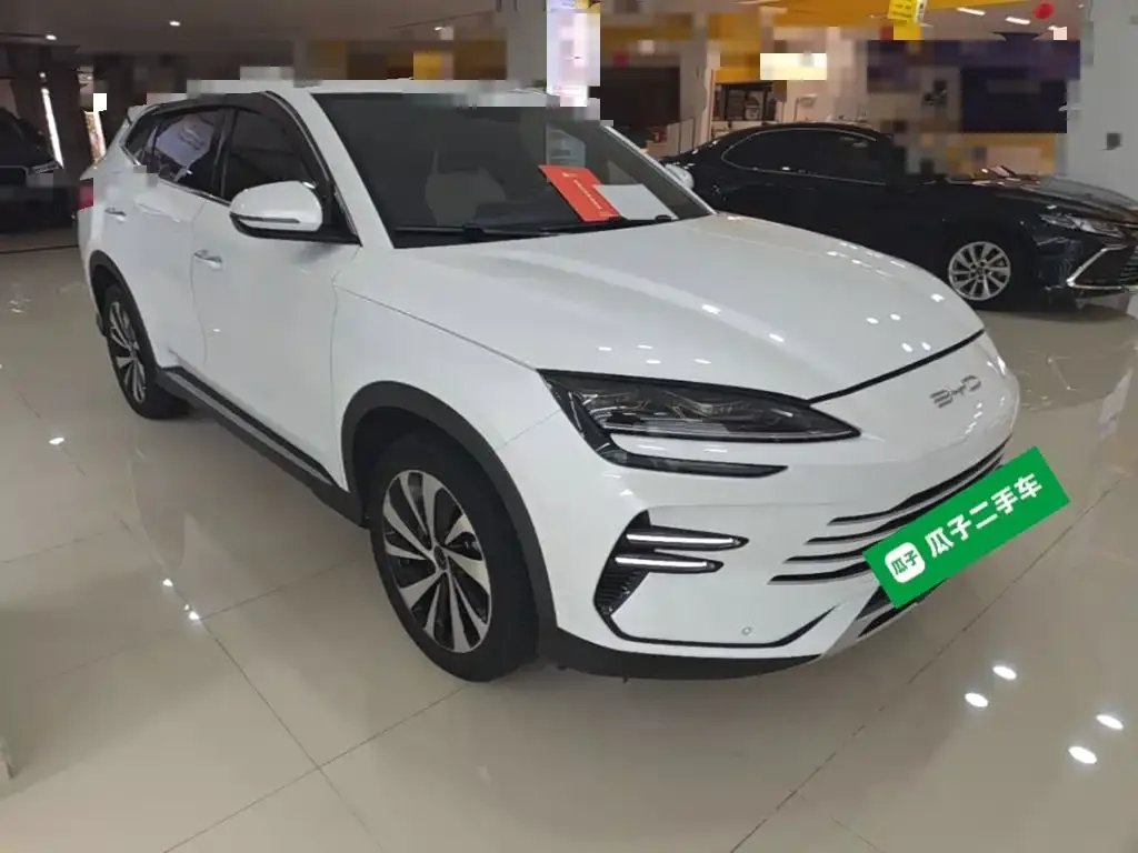 BYD PLUS New Energy 2024 из CN, фото 10