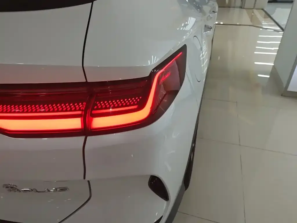 BYD PLUS New Energy 2024 из CN, фото 5