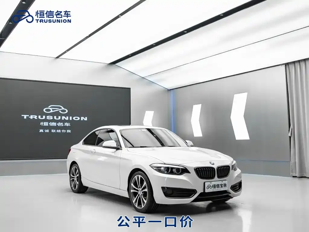 BMW 2 Series (Import) — фото 9