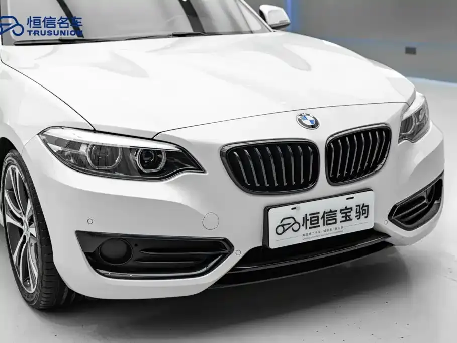 BMW 2 Series (Import) — фото 6