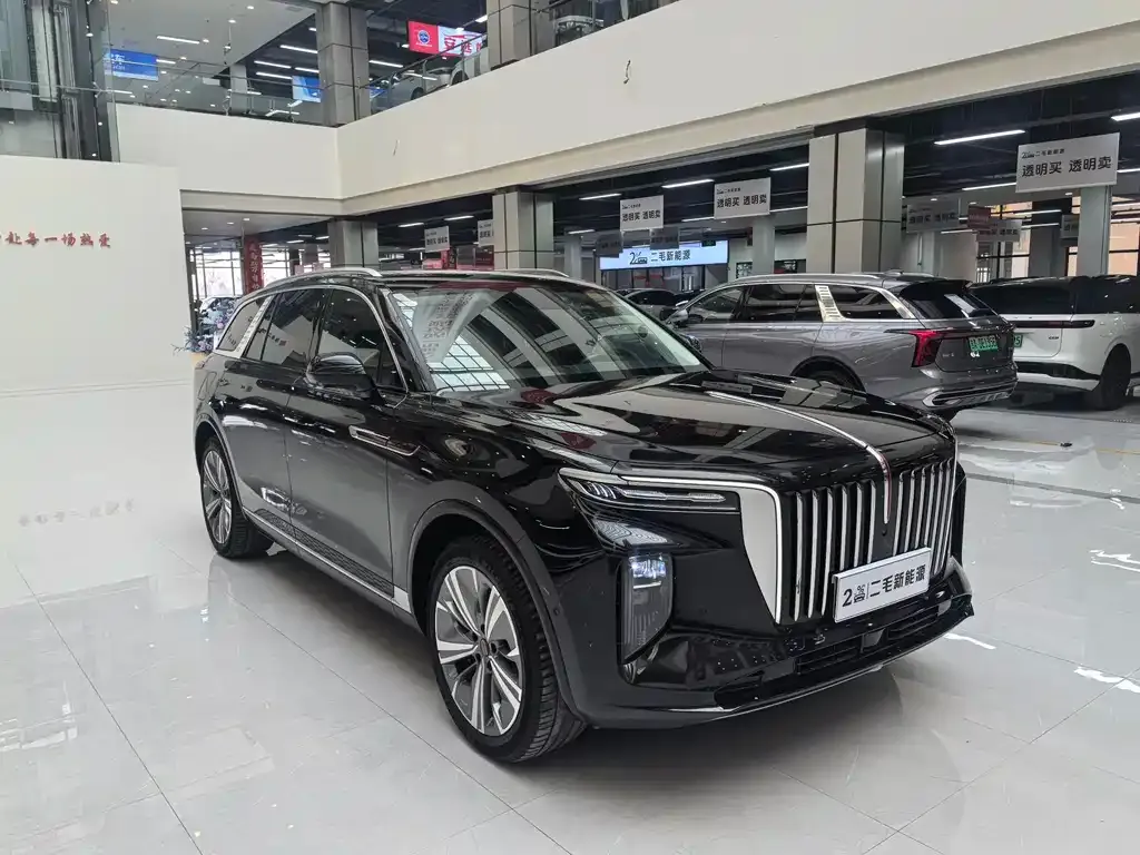 Hongqi E-HS9 — фото 3