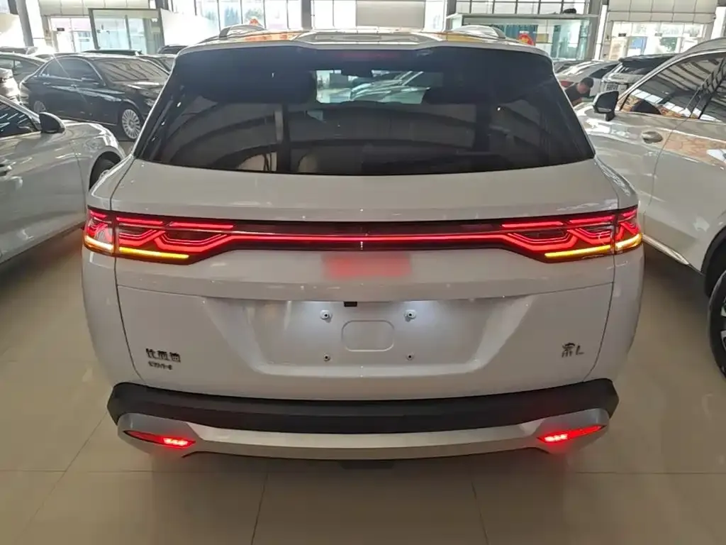 BYD L DM-i 2024 из CN, фото 8