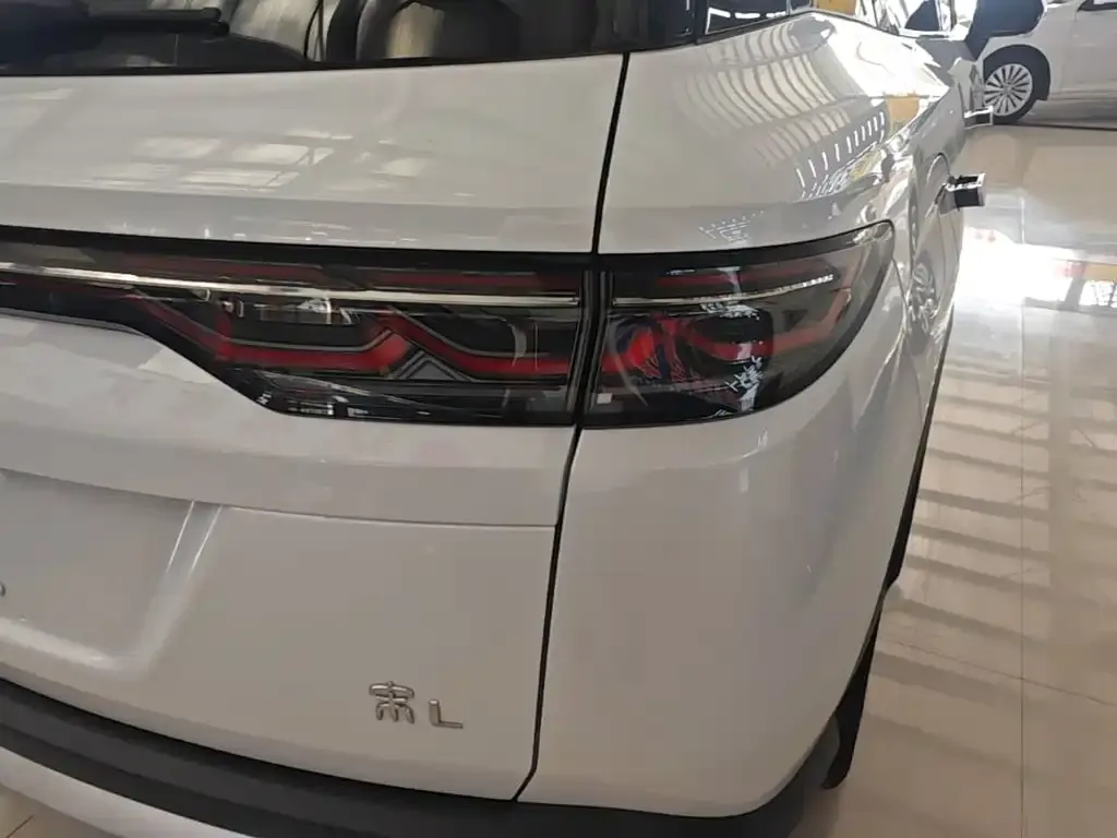 BYD L DM-i 2024 из CN, фото 6