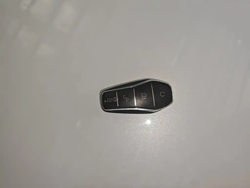 BYD L DM-i 2024 из CN, фото 7