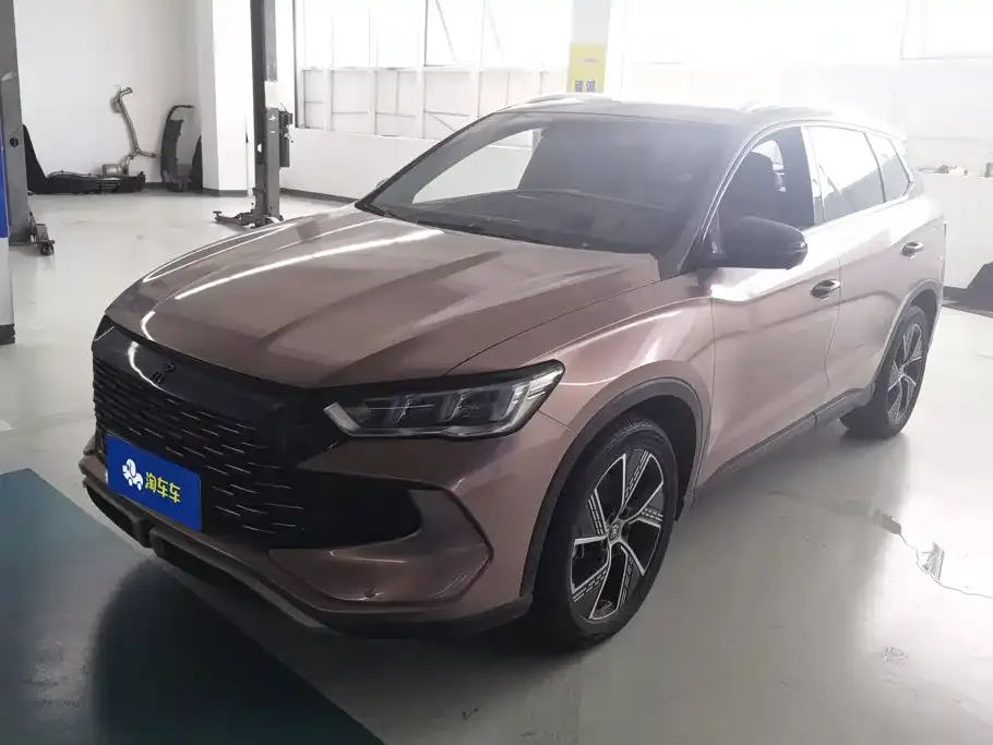 BYD Pro New Energy — фото 1