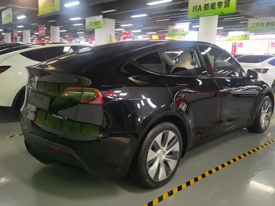 Tesla Model Y — фото 3