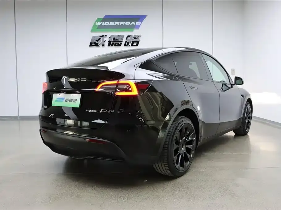 Tesla Model Y — фото 8