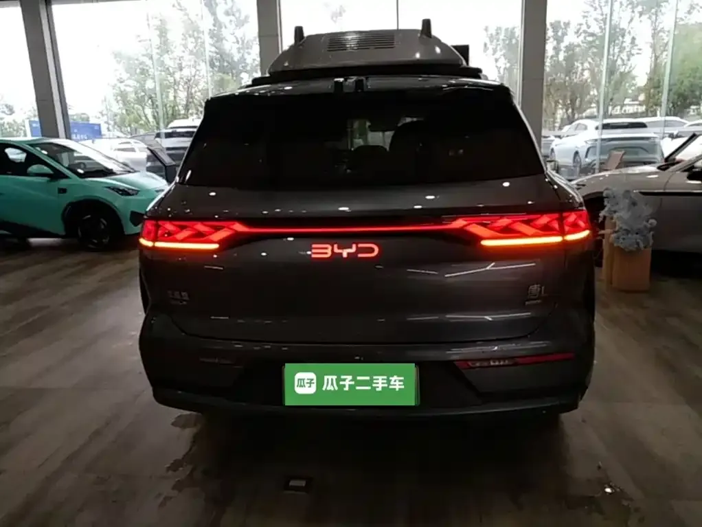 BYD Tang L 2025 из CN, фото 2