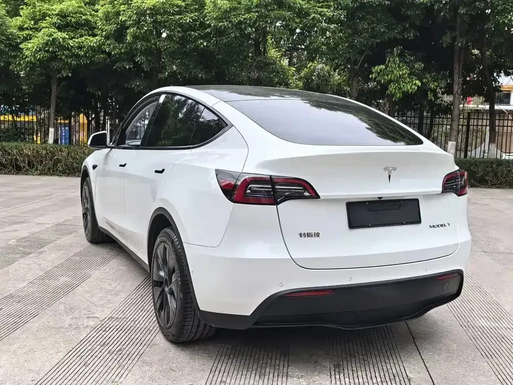Tesla Model Y — фото 10