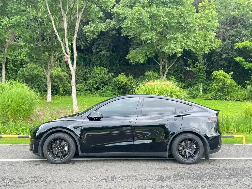 Tesla Model Y — фото 9