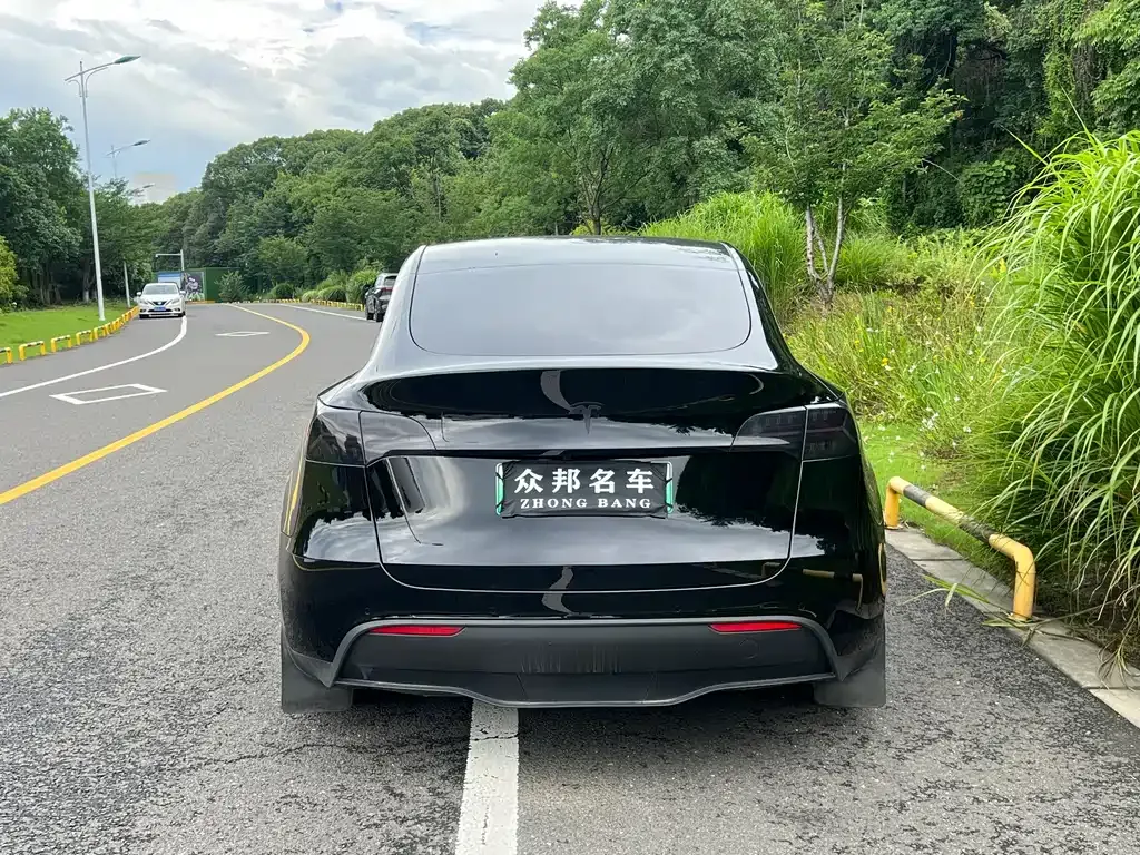 Tesla Model Y — фото 10