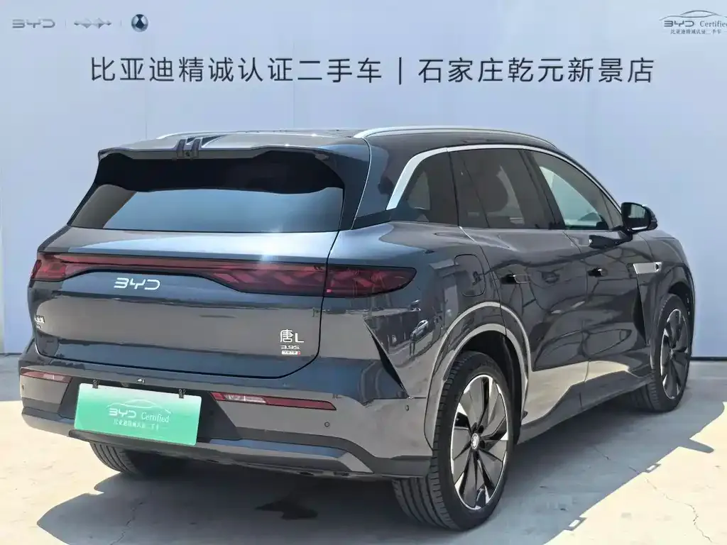 BYD Tang L — фото 3