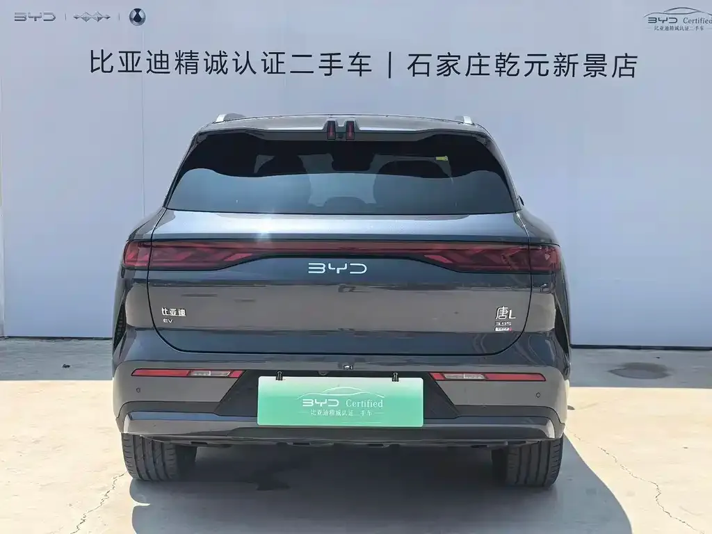 BYD Tang L — фото 2